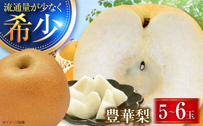 稲田ペアファームの豊華梨 （ゆたかなし） 5～6玉 〈2026年9月～発送〉 ／ フルーツ 果物 くだもの 食品 人気 おすすめ 梨 なし ゆたか 和梨 甘い 旬 ふるさと納税 【株式会社内子フレッシュパークからり】 [BKAD024]