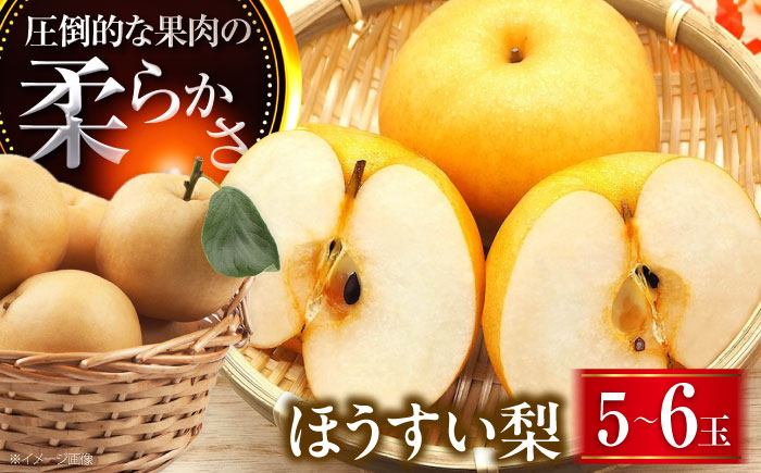 稲田ペアファームの豊水梨（ほうすいなし） 5～6玉入 〈2026年8月～発送〉 ／ 梨 なし フルーツ 果物 くだもの 食品 人気 おすすめ 季節のフルーツ 豊水梨 【株式会社内子フレッシュパークからり】 [BKAD030]