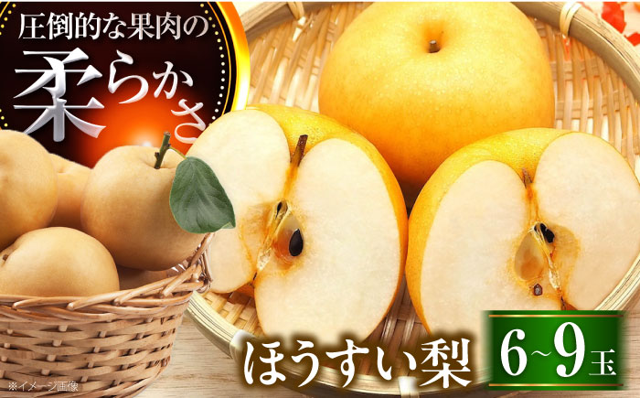 稲田ペアファームの豊水梨（ほうすいなし） 6～9玉入 〈2026年8月～発送〉 ／ 梨 なし フルーツ 果物 くだもの 食品 人気 おすすめ 季節のフルーツ 豊水梨 【株式会社内子フレッシュパークからり】 [BKAD031]