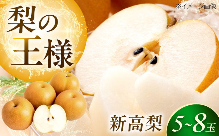 上岡果樹園の新高梨（にいたかなし） 5～8玉入 〈2026年9月～発送〉 ／ 梨 なし フルーツ 果物 くだもの 食品 人気 おすすめ 季節のフルーツ 新高梨 【株式会社内子フレッシュパークからり】 [BKAD033]