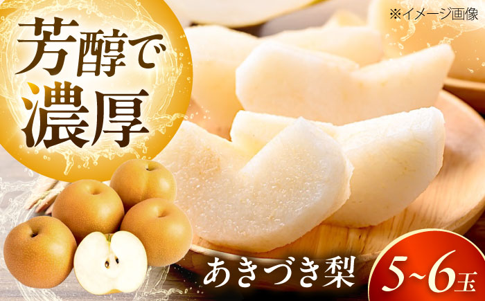 上岡果樹園のあきづき梨 5～6玉入 〈2026年9月～発送〉 ／ 梨 なし フルーツ 果物 くだもの 食品 人気 おすすめ 季節のフルーツ あきづき梨 【株式会社内子フレッシュパークからり】 [BKAD034]