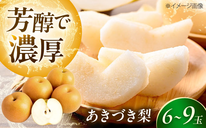 上岡果樹園のあきづき梨 6～9玉入 〈2026年9月～発送〉 ／ 梨 なし フルーツ 果物 くだもの 食品 人気 おすすめ 季節のフルーツ あきづき梨 【株式会社内子フレッシュパークからり】 [BKAD035]