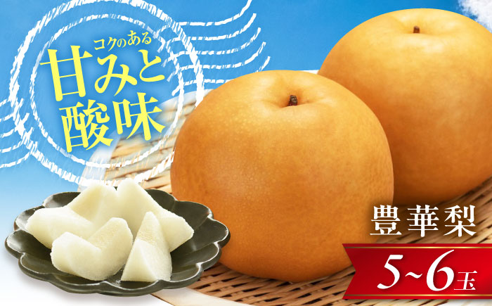 尾形農園の豊華梨(ゆたかなし) 5～6玉入 〈2026年9月～発送〉 ／ 梨 なし フルーツ 果物 くだもの 食品 人気 おすすめ 季節のフルーツ 豊華梨 【株式会社内子フレッシュパークからり】 [BKAD036]