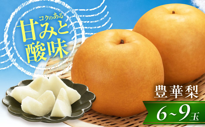 尾形農園の豊華梨(ゆたかなし) 6～9玉入 〈2026年9月～発送〉 ／ 梨 なし フルーツ 果物 くだもの 食品 人気 おすすめ 季節のフルーツ 豊華梨【株式会社内子フレッシュパークからり】 [BKAD037]