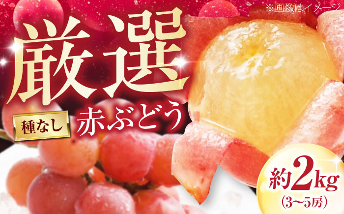 井上農園の厳選赤ぶどう（種無し） 約2kg 3から5房入 〈2026年9月から発送〉 ／ 赤ブドウ ぶどう 葡萄 フルーツ 果実 お取り寄せ おすすめ 甘い 種なし 果物 【株式会社内子フレッシュパークからり】 [BKAD038]