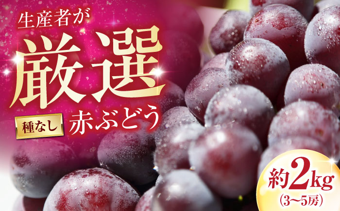 井上農園のピオーネ（種無し） 約2kg 3～5房入 〈2026年8月～発送〉 ／ ぴおーね 葡萄 フルーツ 果物 人気 おすすめ 種なし 種無し 甘い 濃厚 高級 【株式会社内子フレッシュパークからり】 [BKAD042]
