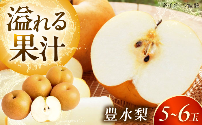 上岡果樹園の豊水梨（ほうすいなし） 5～6玉入 〈2026年8月～発送〉 ／ フルーツ 果物 くだもの 食品 人気 おすすめ 送料無料 梨 なし 豊水梨 ほうすいなし 【株式会社内子フレッシュパークからり】 [BKAD048]