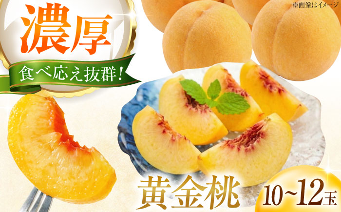 【先行予約】 藤渕果樹園の黄金桃（おうごんとう） 10～12玉入り 〈2026年8月～発送〉 ／ 桃 もも 黄桃 フルーツ 果物 くだもの 季節のフルーツ 【株式会社内子フレッシュパークからり】 [BKAD080]