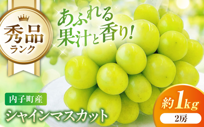 シャインマスカット 秀品 2房 1.0kg ＜2026年8月下旬～発送開始＞ ／ シャインマスカット 大人気 愛媛県 美味しい 人気 皮ごと 葡萄 ブドウ 愛媛県産 内子町産 新鮮 旬 フルーツ 果物 くだもの【株式会社フジ・アグリフーズ】 [BKAY003]