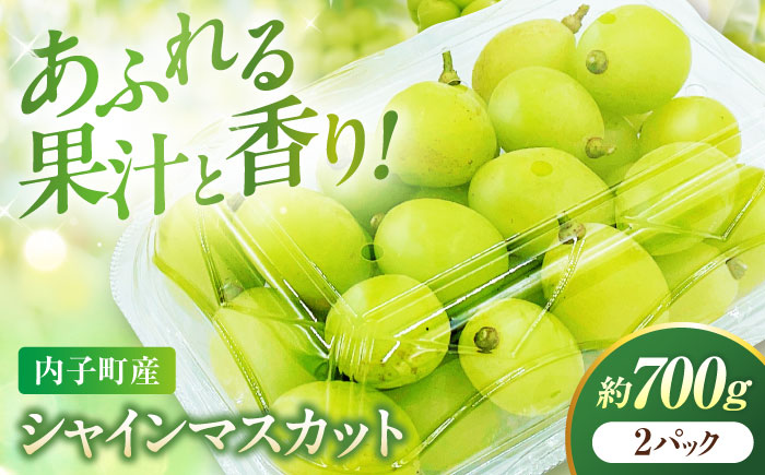シャインマスカット 350g×2パック パック詰め ＜2026年8月下旬～発送開始＞ ／ シャインマスカット 大人気 愛媛県 美味しい 人気 皮ごと 葡萄 ブドウ 愛媛県産 内子町産 新鮮 旬 フルーツ 果物 くだもの【株式会社フジ・アグリフーズ】 [BKAY006]