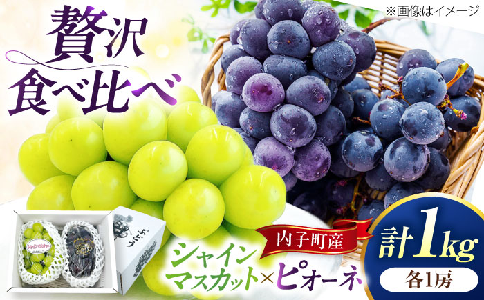 シャインマスカット・ピオーネのセット 1.0kg ／ シャインマスカット 大人気 愛媛県 美味しい 人気 皮ごと 葡萄 ブドウ 愛媛県産 内子町産 新鮮 旬 フルーツ 果物 くだもの【株式会社フジ・アグリフーズ】 [BKAY012]