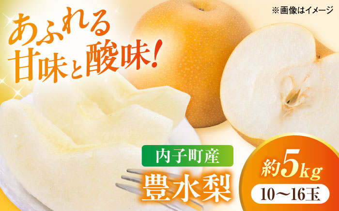 豊水梨【10～16玉】＜2026年8月下旬から発送＞【北海道・沖縄配送不可】 ／ 梨 なし ナシ 和梨 果物 フルーツ 国産 産地直送【株式会社フジ・アグリフーズ】 [BKAY023]