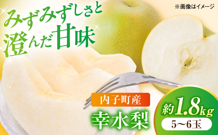 幸水梨【5～6玉】＜2026年8月上旬から発送＞【北海道・沖縄配送不可】 ／ 梨 なし ナシ 和梨 果物 フルーツ 国産 産地直送【株式会社フジ・アグリフーズ】 [BKAY027]