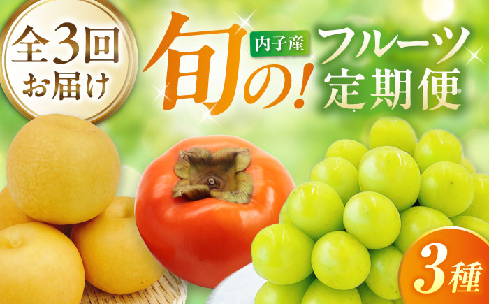 【3回定期便】梨・ぶどう・柿 旬のフルーツ定期便【北海道・沖縄配送不可】 ／かき カキ ブドウ 葡萄 梨 なし ナシ 和梨 果物 フルーツ 国産 産地直送【株式会社フジ・アグリフーズ】 [BKAY030]