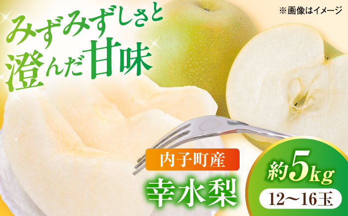 幸水梨【12～16玉】＜2026年8月上旬から発送＞【北海道・沖縄配送不可】 ／ 梨 なし ナシ 和梨 果物 フルーツ 国産 産地直送【株式会社フジ・アグリフーズ】 [BKAY032]