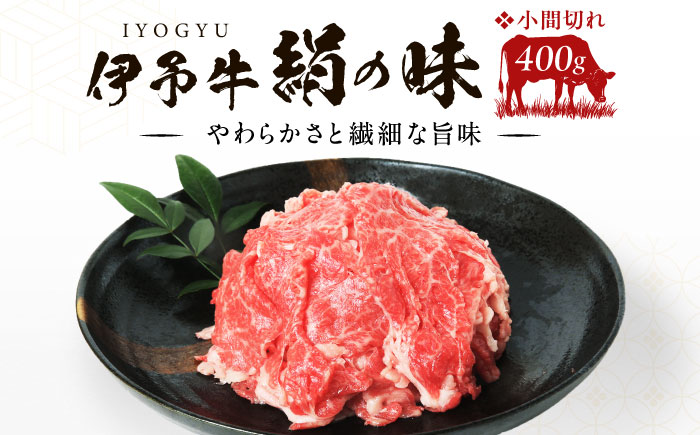 伊予牛「絹の味」黒毛和牛 小間切れ 400g ／ 肉 お肉 にく 食品 愛媛県産 人気 おすすめ ギフト 【全国農業協同組合連合会愛媛県本部】 [BKBB001]