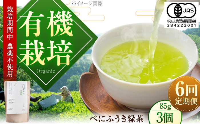 【全6回定期便】オーガニックのべにふうき緑茶(85g×3個) 愛媛県 内子町 / にのらく茶園 [BKBR014]