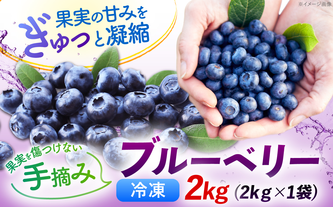 冷凍ブルーベリー 2kg(2kｇ×1袋) [BKBW005]