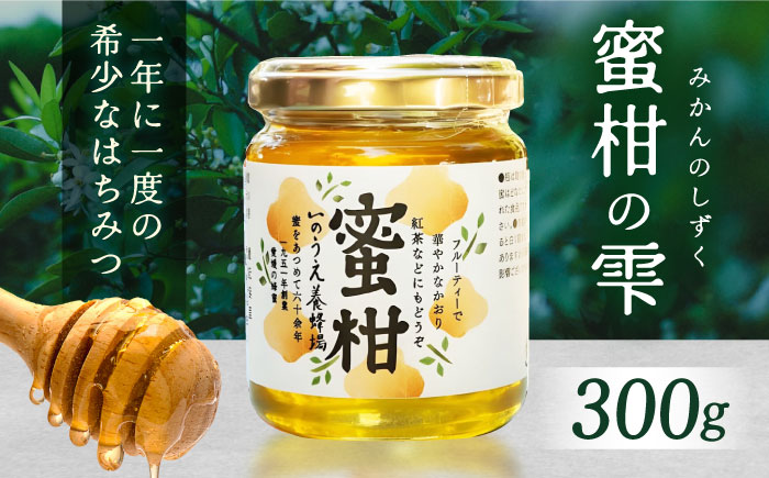 蜜柑の雫（しずく）300g／蜂蜜 はちみつ ハチミツ 食品 内子町【いのうえ養蜂場】 [BKCF002]