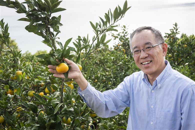 【先行予約】【数量限定】田縁農園の不知火（しらぬい）2kg ※離島への配送不可 （2026年2月10日より順次発送） IKTA017