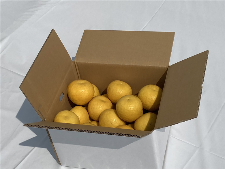 田縁農園の河内晩柑約7kg ※離島への配送不可 （2026年4月10日より順次発送）  IKTA020