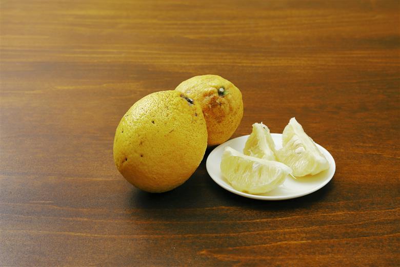 【数量限定】家庭用 瓢柑(7kg) 訳あり ※北海道・沖縄・離島への配送不可 （2026年4月1日より順次発送）  IKTA021