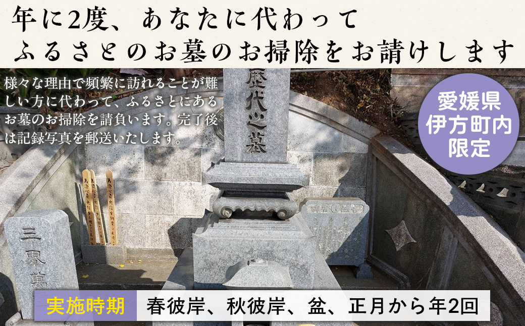 お墓の掃除代行サービス 年2回コース IKTAA002