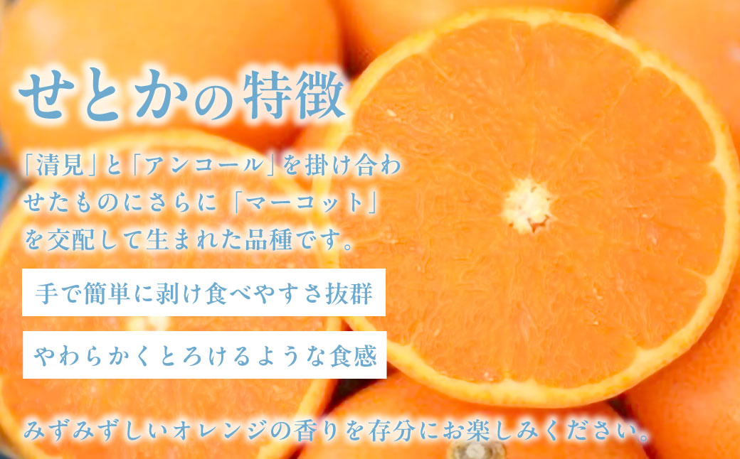 【先行予約】【家庭用】せとか 約5kg ※離島への配送不可（2026年3月より順次発送） IKTAB001