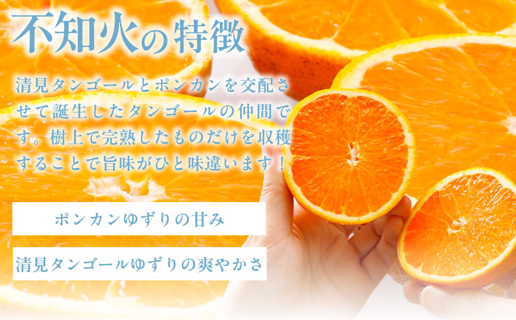 【先行受付】【家庭用】不知火（しらぬい） 5kg ※離島への配送不可（2026年2月中旬より順次発送） IKTAB003