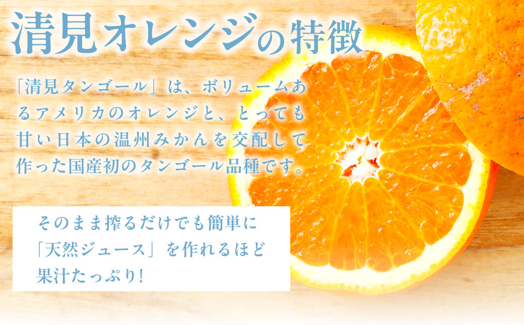 【先行受付】【家庭用】清見オレンジ 5kg ※離島への配送不可 （2026年3月中旬より順次発送） IKTAB007