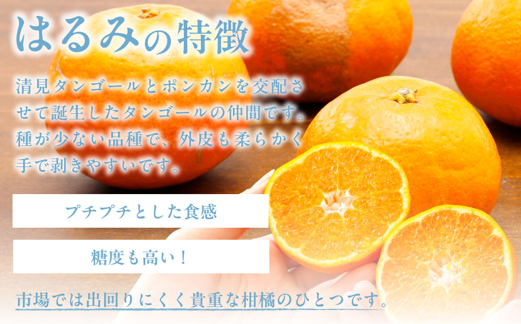 【先行受付】【数量限定】【山採り無選別】はるみ 5kg ※離島への配送不可（2026年2月より順次発送） IKTAB011