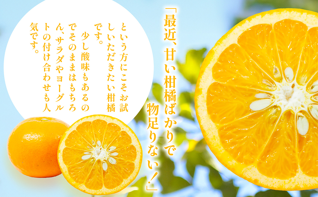 【先行予約】【家庭用】浅野農園のサンフルーツ5kg ※離島への配送不可（2026年3月中旬頃より順次発送予定） IKTAC010