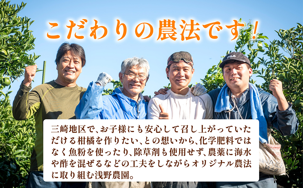 【先行予約】【数量限定】浅野農園の愛果28号（まどんな）特選3kg ※離島への配送不可（2025年12月中旬～2026年1月中旬頃に順次発送予定） IKTAC023