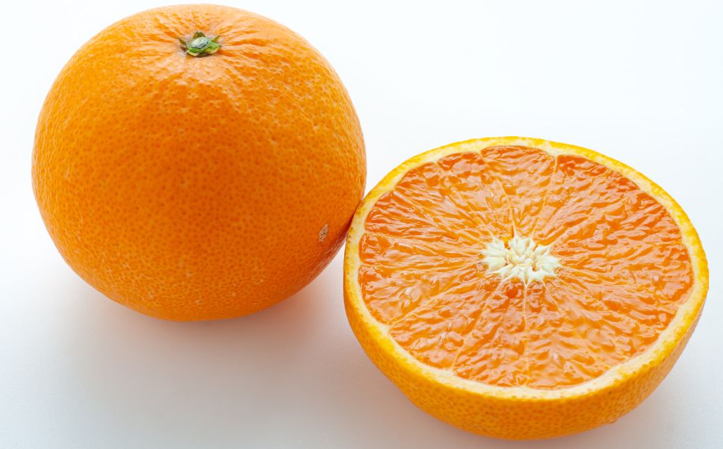 清見タンゴール 8kg ※北海道、沖縄・離島への配送不可（2026年3月中旬ごろから順次発送） IKTAP003