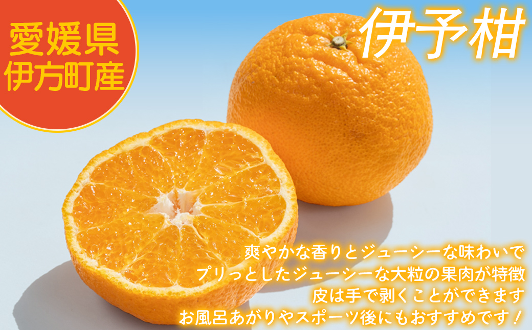 【先行予約】【家庭用】伊予柑 3kg ※北海道・沖縄・離島への配送不可 （2026年1月中旬より順次発送予定） IKTAT004