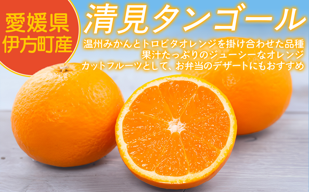 【先行予約】【家庭用】清見タンゴール 3kg ※北海道・沖縄・離島への配送不可（2026年3月中旬より順次発送）  【ふるさと納税 人気 おすすめ ランキング 柑橘 みかん ミカン 清見タンゴール 清見 フルーツ 果物 OKUBO FARM 愛媛県産 家庭用 愛媛県 伊方町 送料無料】 IKTAT005