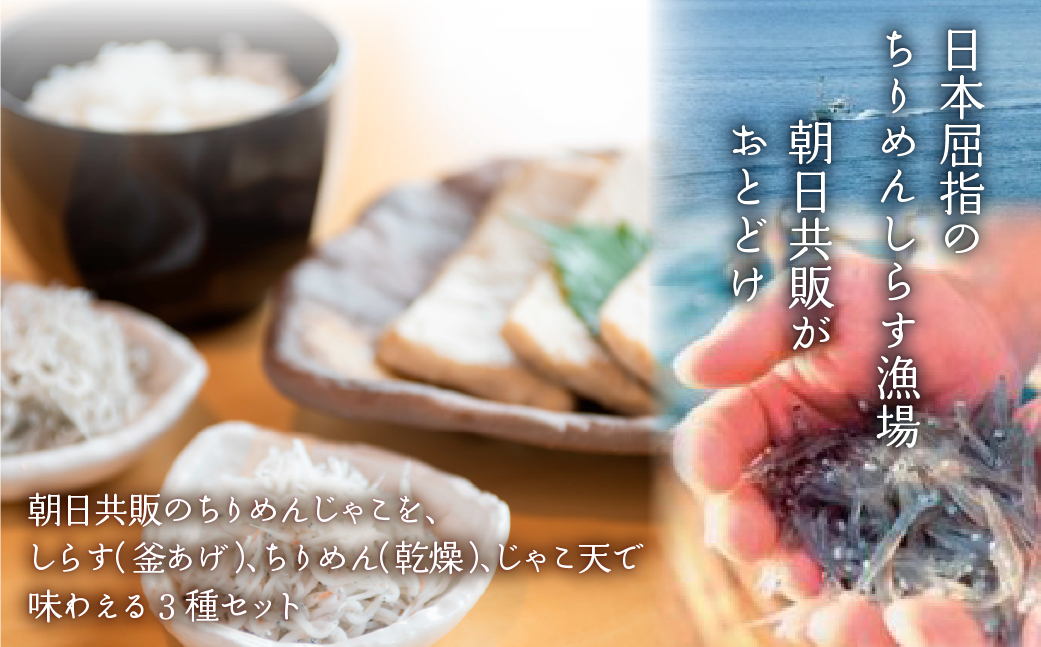 【ちりめん3種食べ比べ】佐田岬ちりめんじゃこセット◇ IKTB020