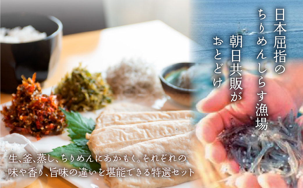 【佐田岬の味を網羅】佐田岬特選セット◇ IKTB021