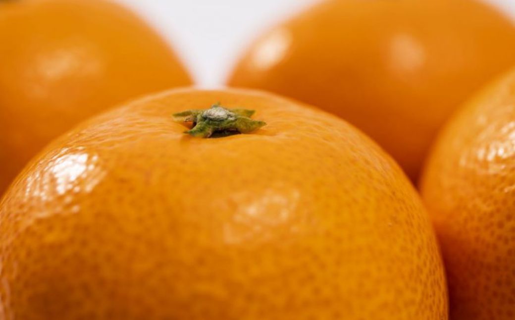 JAにしうわ みつる共選 「蜜る」4kg（2S～2L）※離島への配送不可（2025年11月中旬より順次発送予定） IKTBC004