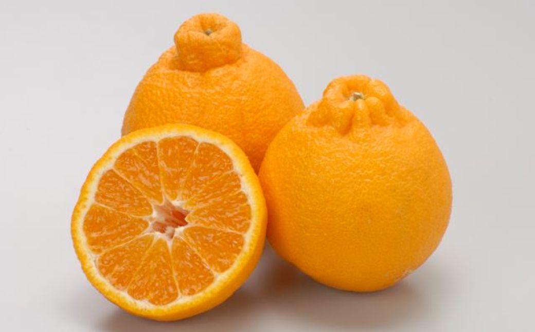 【先行予約】【数量限定】JAにしうわ みつる共選 デコポン 約5kg（化粧箱）※離島への配送不可（2026年2月中旬より順次発送予定） IKTBC008