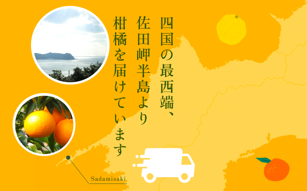 【先行予約】清見タンゴール（貯蔵・生果5kg）※離島への配送不可（2026年4月下旬より順次発送予定） IKTBD007