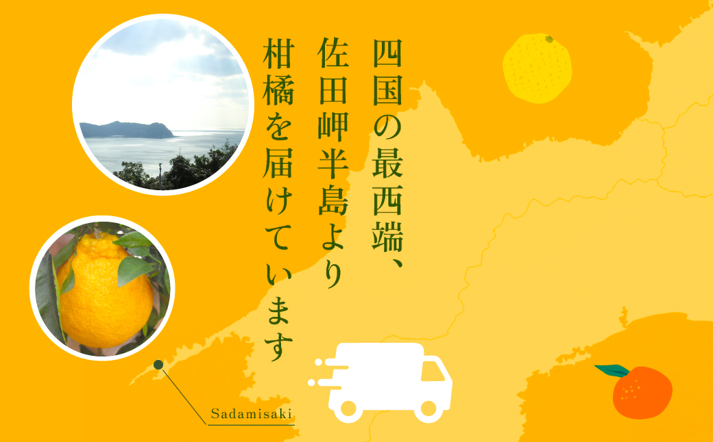 【先行予約】不知火（生果2.5kg）※離島への配送不可（2026年2月上旬～2月下旬頃に順次発送予定） IKTBD010