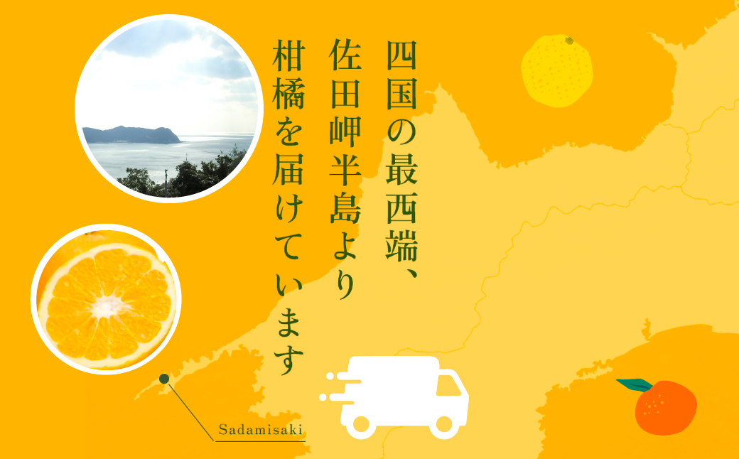 【先行予約】サンフルーツ（生果5kg）※離島への配送不可（2026年2月上旬より順次発送予定） IKTBD013