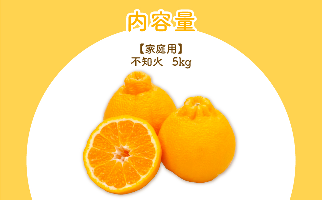 【先行予約】【家庭用】不知火 5kg ※離島への配送不可（2026年2月上旬より順次発送予定） IKTBD016