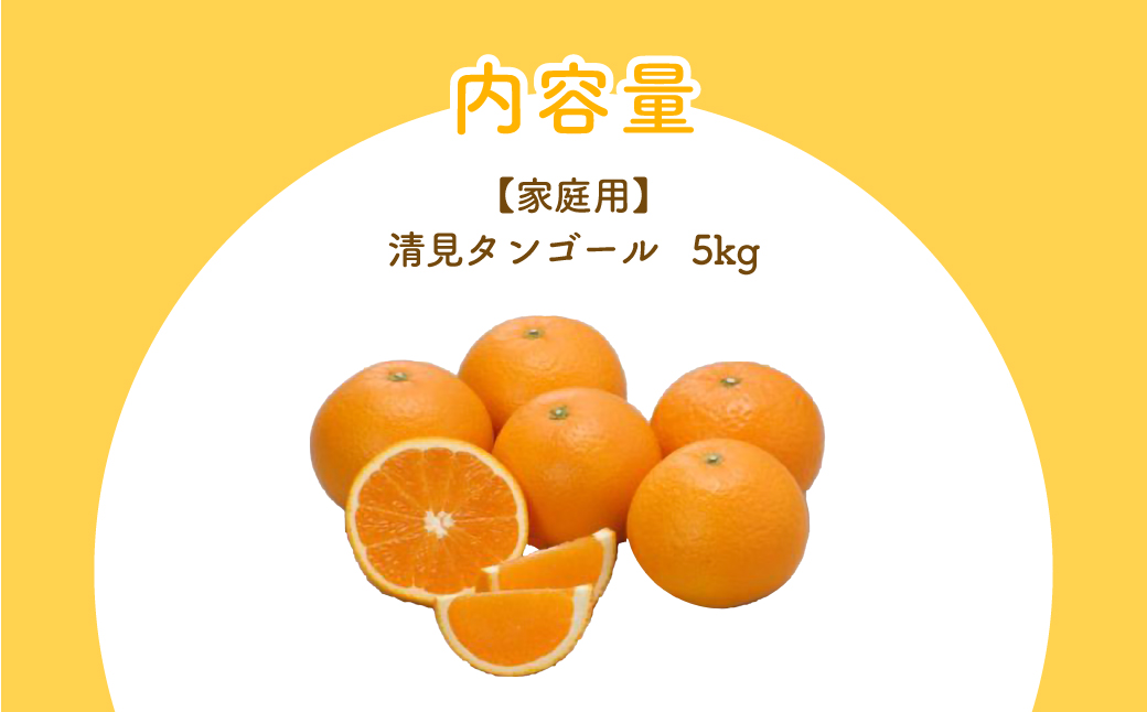【先行予約】【家庭用】清見タンゴール 5kg ※離島への配送不可（2026年3月上旬より順次発送予定） IKTBD017
