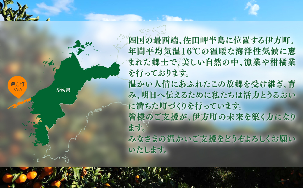 【返礼品なし】愛媛県伊方町・応援寄附1,000,000円（寄附のみの応援受付 ※返礼品はございません）  IKTBG009