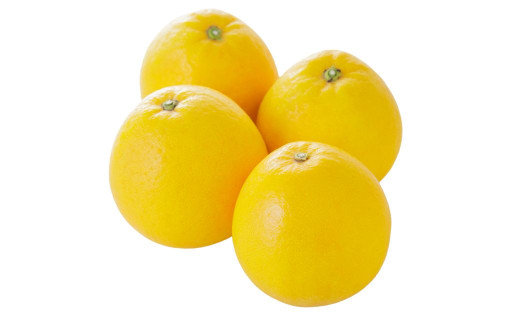 ナダオレンジ(河内晩柑)家庭用9kg（2026年5月中旬より順次発送）  【ふるさと納税 人気 おすすめ ランキング 柑橘 蜜柑 みかん ミカン 果物 フルーツ 河内晩柑 ナダオレンジ オレンジ 家庭用 愛媛県 伊方町 送料無料】 IKTC019