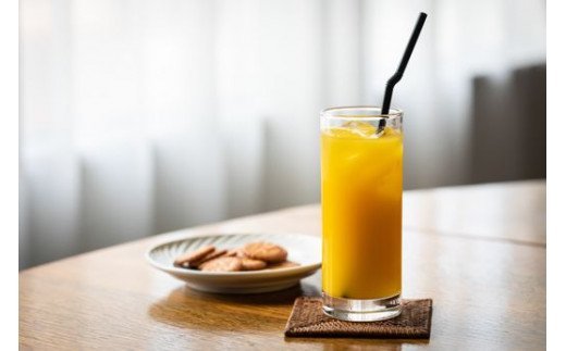 【先行予約】【愛媛県産】おらが自慢の伊方みかんジュース（1000ml×6本）ストレート果汁100％（2025年12月より順次発送）  IKTI008