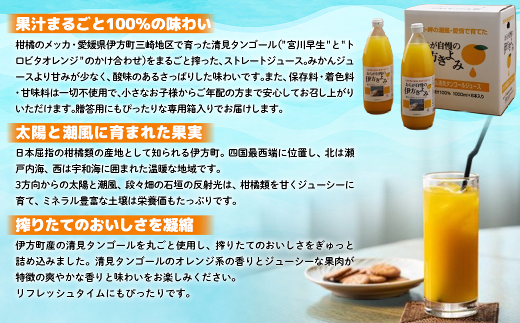 【先行予約】【愛媛県産】おらが自慢の伊方きよみジュース（1000ml×6本） ストレート果汁100％（2026年4月より順次発送）  IKTI009