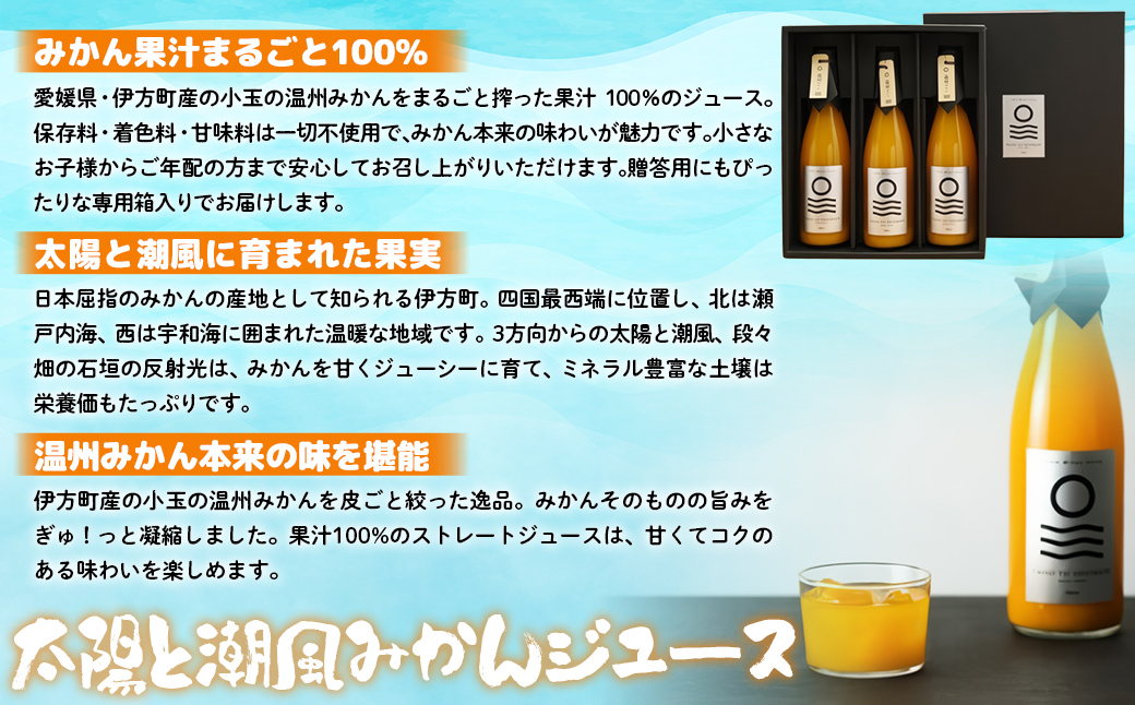 【先行予約】【愛媛県産】太陽と潮風みかんジュース（720ml×3本） 果汁100％（2025年12月より発送予定） IKTI010